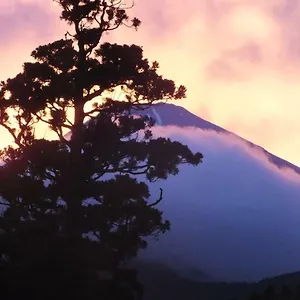 **** 旅館 華の宿　ふくや 日本