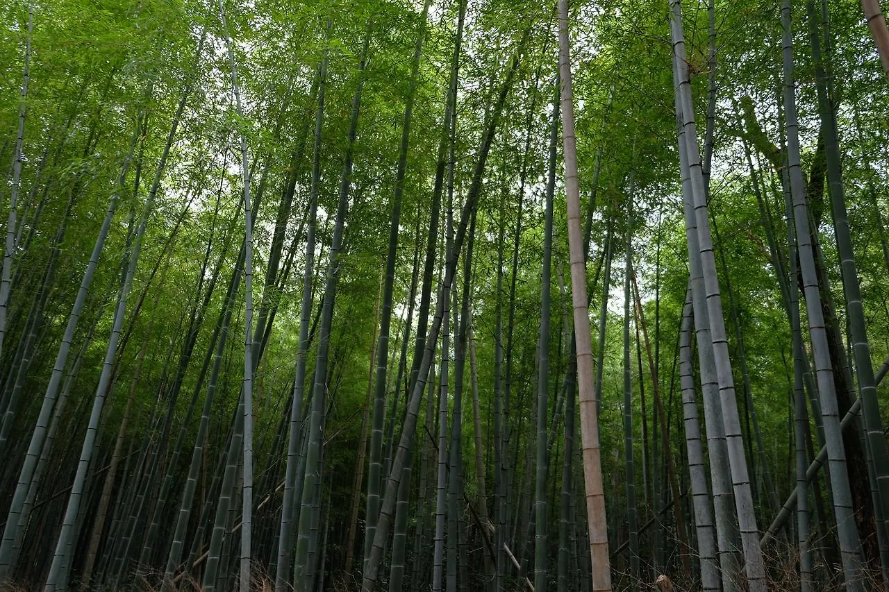 カプセルホテル京都 カプセルホテル