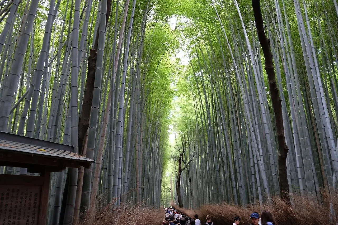 ** カプセルホテル カプセルホテル京都 日本