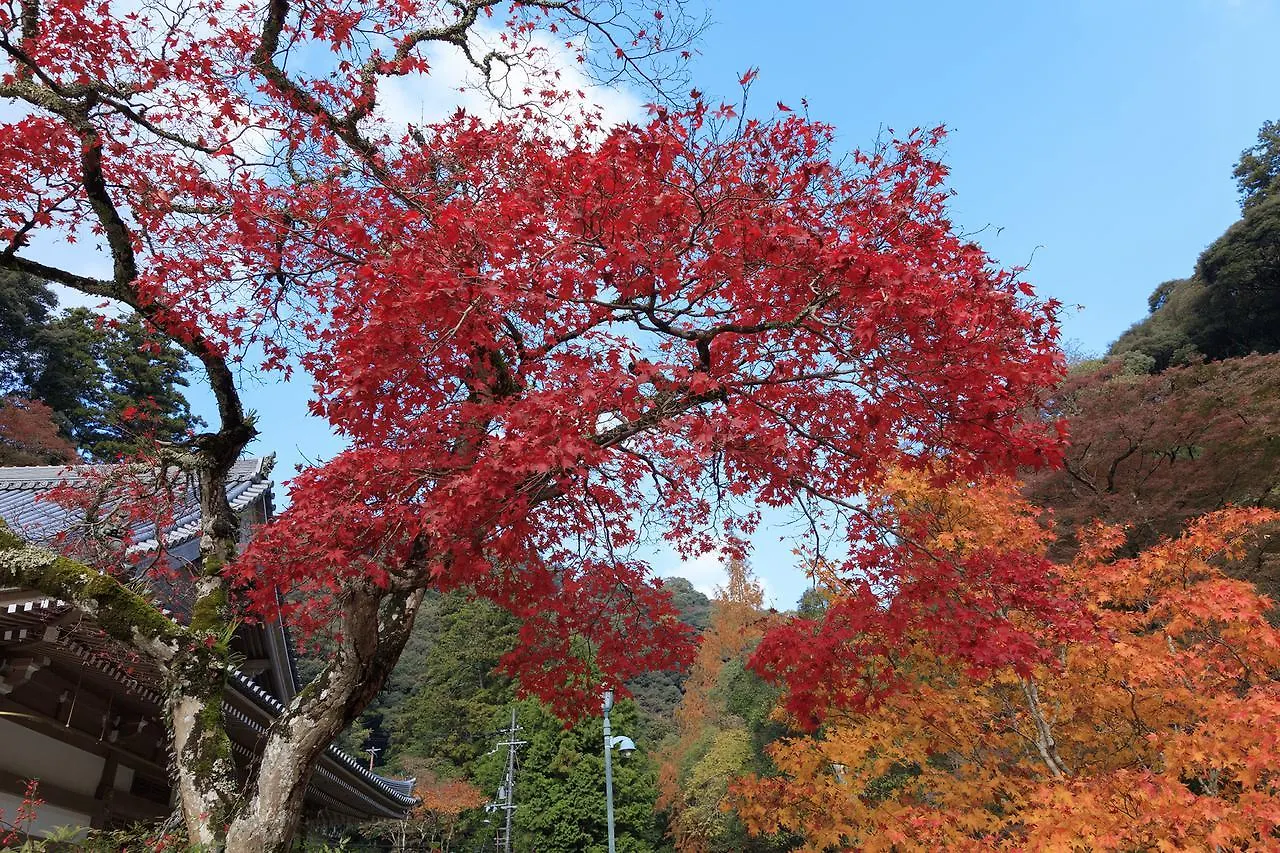 ** カプセルホテル カプセルホテル京都 日本
