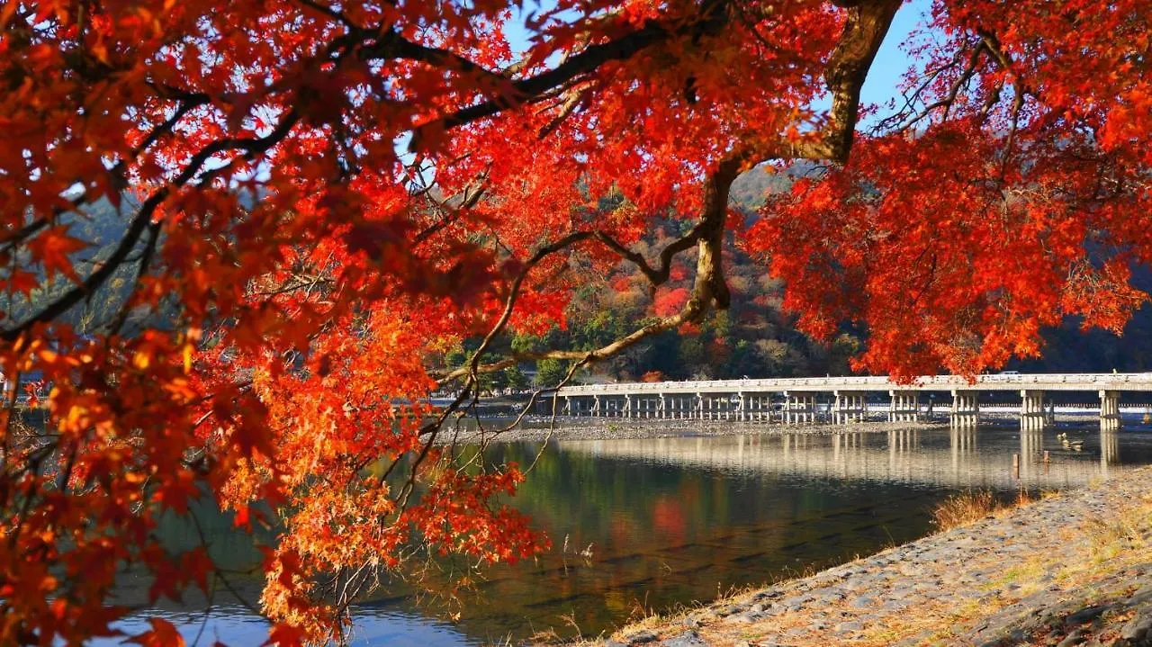 カプセルホテル京都 2*, 京都市 日本